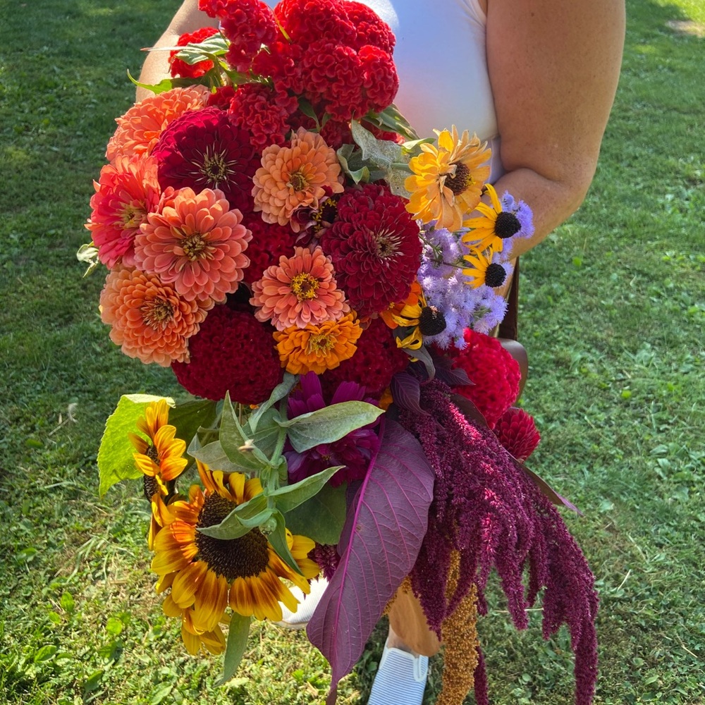 Meet your Posher, Tara